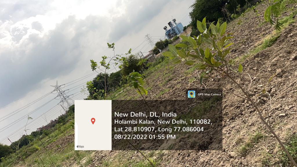 Compensatory Afforestation